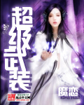 超級武裝陳澤小說封面